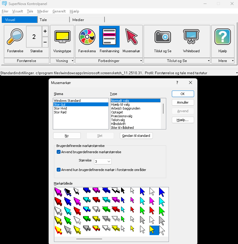 Skærmbillede fra SuperNova Forstørrelse & Tale Programvindue med Musemarkør indstillinger