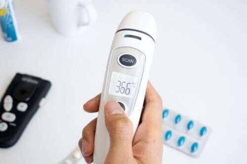 Termometer TK-1 i hånd